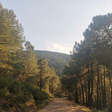 Bonita Casa En El Bosque - El Tiemblo Villa Bagian luar foto