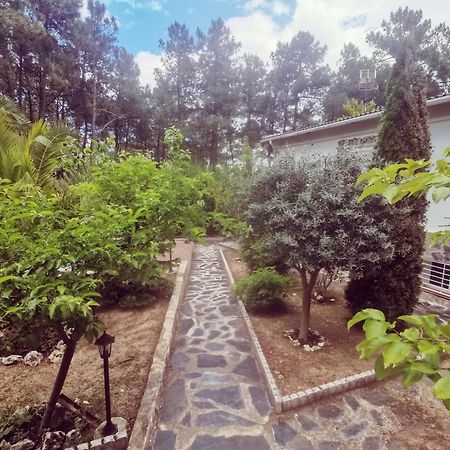 Bonita Casa En El Bosque - El Tiemblo Villa Bagian luar foto