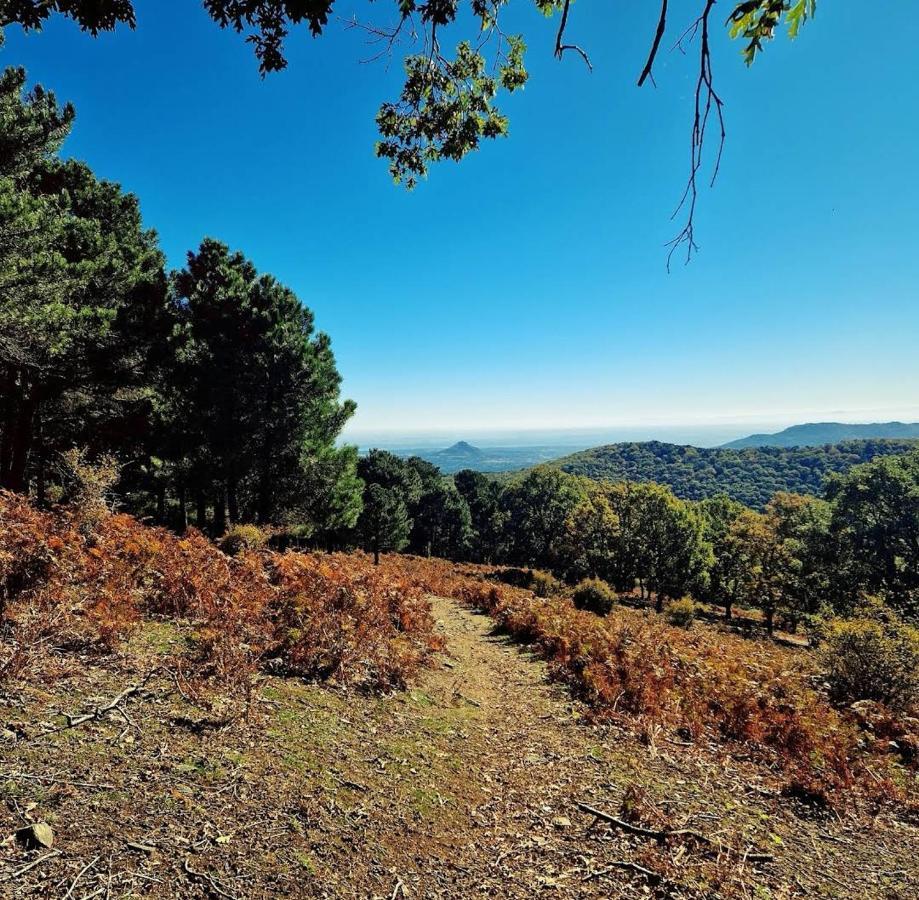 Bonita Casa En El Bosque - El Tiemblo Villa Bagian luar foto
