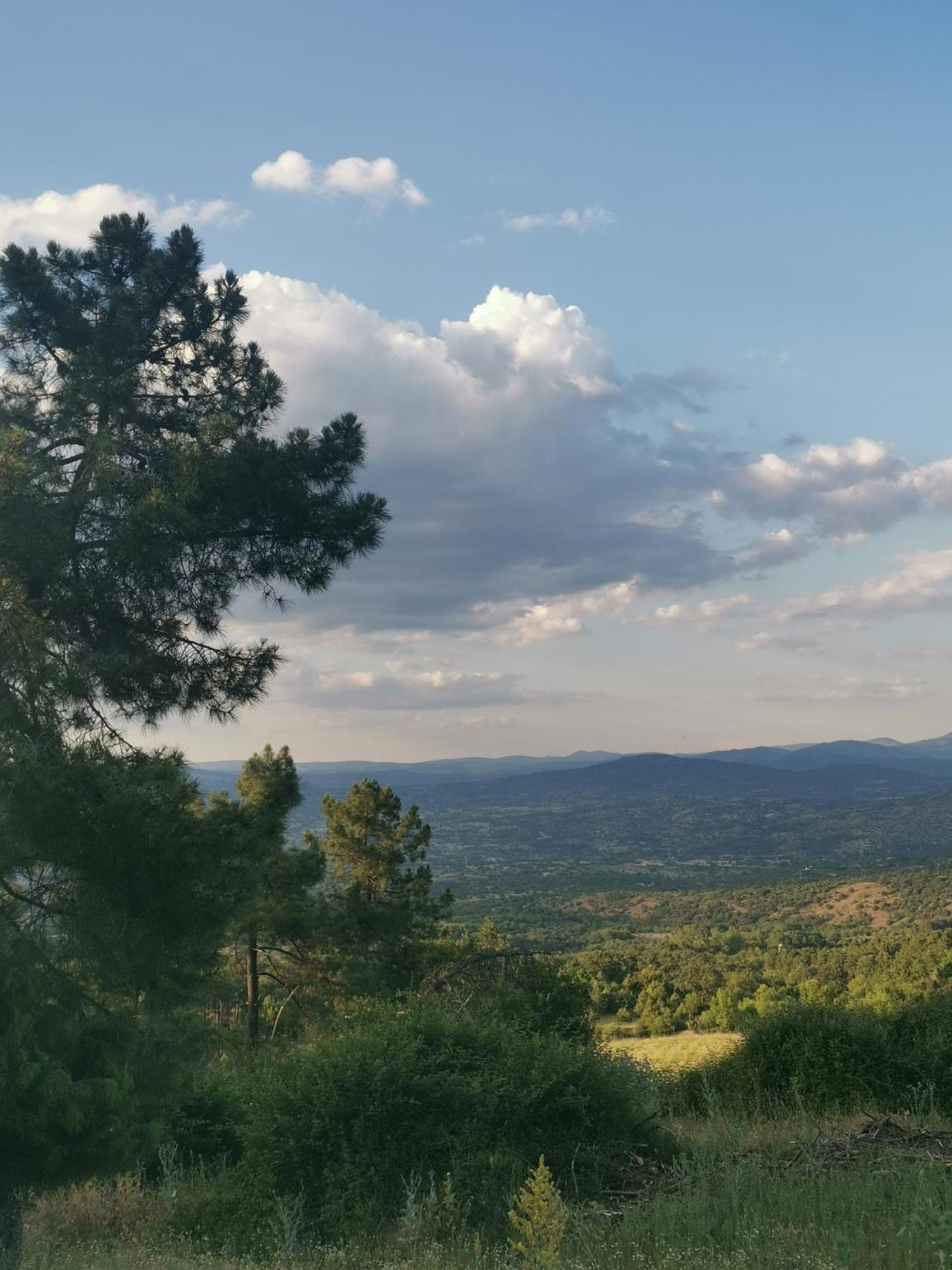 Bonita Casa En El Bosque - El Tiemblo Villa Bagian luar foto